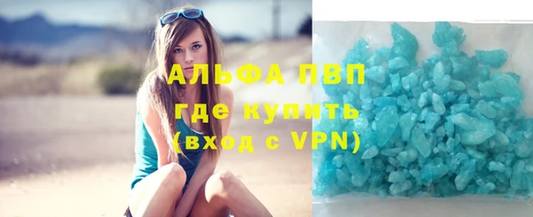 шишки Алзамай