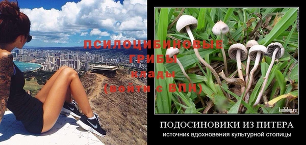шишки Алзамай