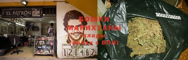 шишки Алзамай
