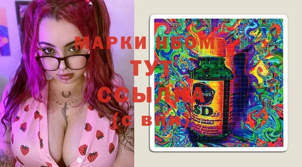 шишки Алзамай